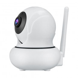 WanscamCamera IP Wireless 1080P detectie faciala Wanscam K21