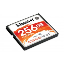 KINGSTONKS COMPACT FLASH 256GB CFF/256GB