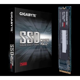 GIGABYTEGIGABYTE SSD M.2 PCIe 256GB