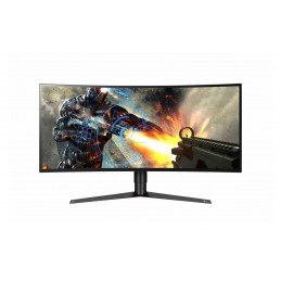 LGMONITOR 34" LG 34GK950G-B
