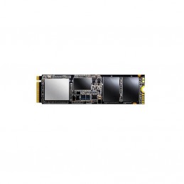 ADATAADATA SSD 256GB XPG ASX6000NP-256GT-C