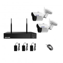 Sisteme de supraveghere Sistem supraveghere video Wifi 5MP 2 camere Eyecam Eyecam