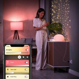 PHILIPSCONECTOR PHILIPS HUE 8718699689285