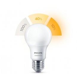 PHILIPSBEC LED PHILIPS E27 8718696588840