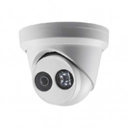 Camere IP Hikvision CAMERA IP DOME 2.8MM HIKVISION