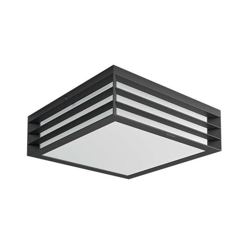 PENDUL PHILIPS MYGARDEN MOONSHINE 2X14W