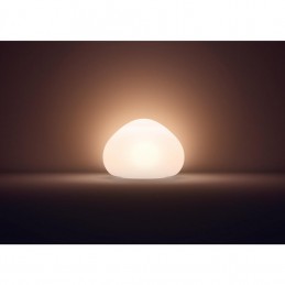 VEIOZA PHILIPS HUE WELLNER 8718696159118