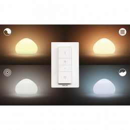 VEIOZA PHILIPS HUE WELLNER 8718696159118