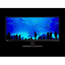 LN ThinkVision T34w-20 34" Curved Type-C