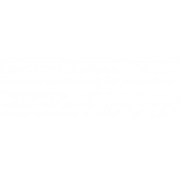 MS WS19 5USR CAL EMEA LTU