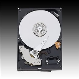 WD Blue HDD Desktop (3.5", 1TB, 64MB, SATA III-600)