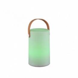 LAMPA EXT. LED RGB INT. REALITY ARUBA