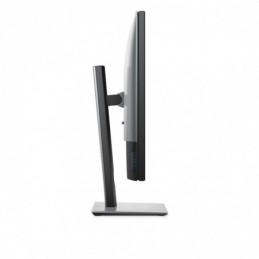 DL MONITOR 30" UP3017 2560 x 1600