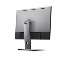 DL MONITOR 30" UP3017 2560 x 1600