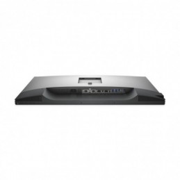 DL MONITOR 30" UP3017 2560 x 1600