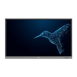 Avtek Touchscreen 5 Lite 65”