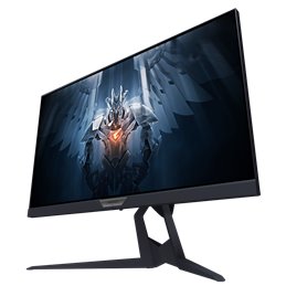 GIGABYTE AORUS FI25F GAMING MONITOR