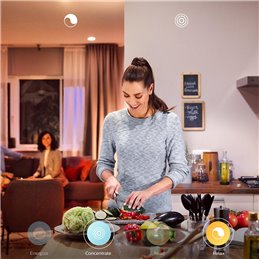 PLAFONIERA LED PHILIPS HUE FAIR 33.5W