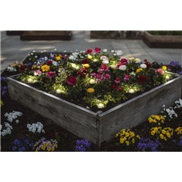 GHIRLANDA LEDVANCE SMART+WIFI GARDEN 9