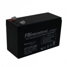 Acumulator 12V, 7Ah -FBi...