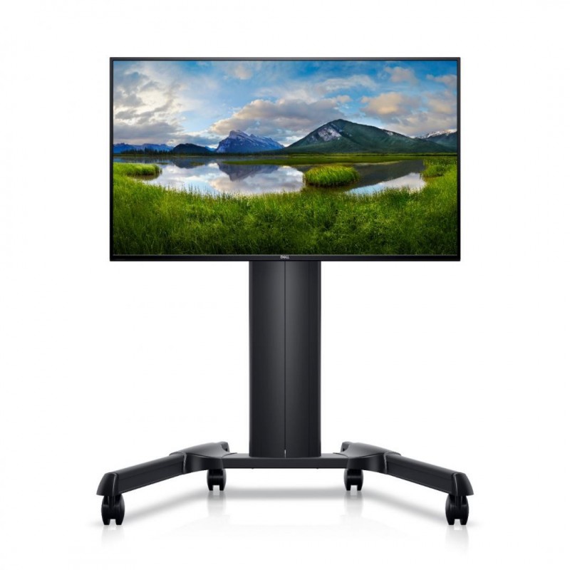 DL MONITOR 55'' C5519Q 3840x2160