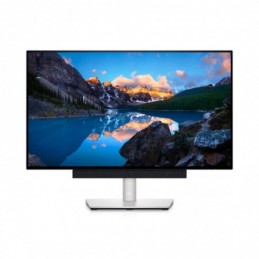 DL MONITOR 23.8" U2422H 1920 x 1080