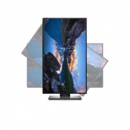 DL MONITOR 25" U2520D 2560X1440 LED