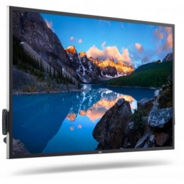 DL MONITOR 55'' C5522QT 3840x2160