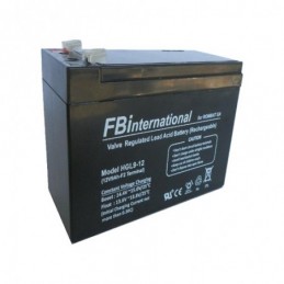 Acumulator 12V, 9Ah -FBi...
