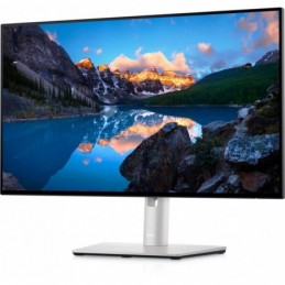 DL MONITOR 23.8" U2422HE...