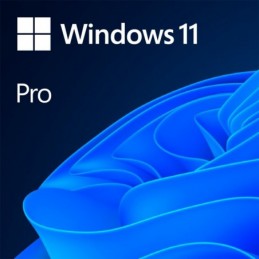Windows 11 Professional...