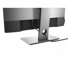 DL MONITOR 30" UP3017A QHD...