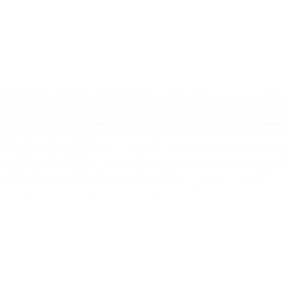 MS WS19 (2-CORE) STD ADD...