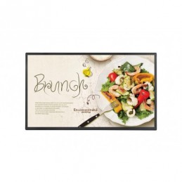 Ecran profesional LG SE3 32