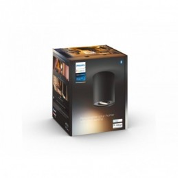 Pillar Hue ext. spot single...