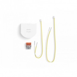 Philips Hue wall switch module