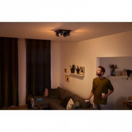 BUCKRAM HUE PLATE/SPIRAL...