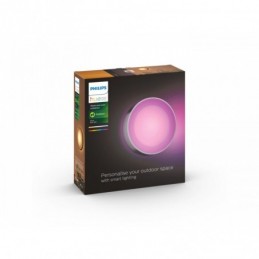 DAYLO HUE WACA WALL LANTERN...