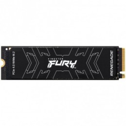 Kingston 2000G Fury...