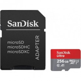 MICROSDXC 256GB CL10...