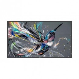 Ecran profesional Philips...