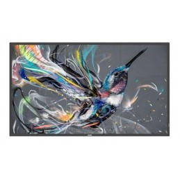 Monitor Signage PHILIPS...